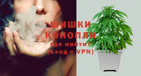 МДПВ Вязьма