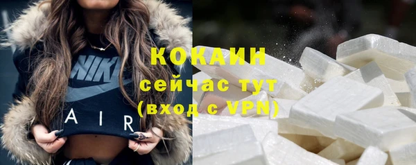 mdpv Вяземский