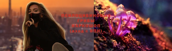 МДПВ Вязьма