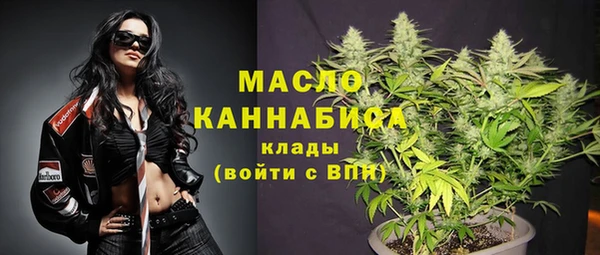 mdpv Вяземский