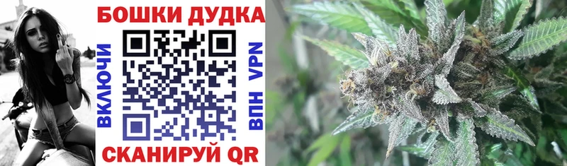 МАРИХУАНА план  Купить  Курчалой 